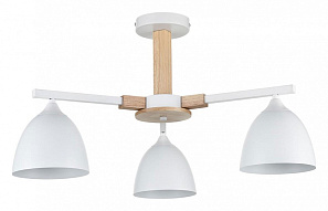 Люстра на штанге Lumion Colange 8095/3C 500_191_2423645