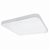 Накладной светильник Lightstar Arco 226264 100_100_2448052