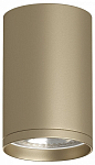 Накладной светильник Denkirs TUBE DK2050-SG 250_100_Array