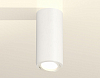 Накладной светильник Ambrella Light XS XS7442001 100_100_2006277