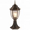 Наземный низкий светильник Arte Lamp Pegasus A3151FN-1BN 100_100_1821359