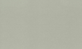 971422 Обои Rasch (1*6) 10,00x1,06 винил на флизелине 500_191_2324371