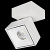 Спот Citilux Стамп CL558020N 100_100_1686695