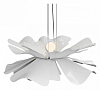 Подвесной светильник LIGHTERA Chad LE116L-55W 100_100_2459840