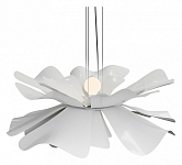 Подвесной светильник LIGHTERA Chad LE116L-60W 250_100_Array