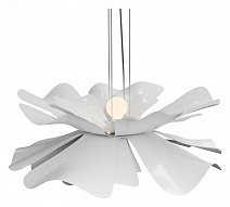 Подвесной светильник LIGHTERA Chad LE116L-55W 500_191_2459840