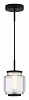 Подвесной светильник Odeon Light Jam 5409/5L 100_100_1727883