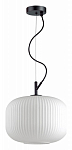 Подвесной светильник Odeon Light Roofi 4754/1 250_100_1724810