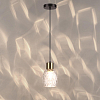 Подвесной светильник Lumion Ice 6562/1A 100_100_1864262