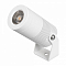 Настенно-потолочный прожектор Arlight RAY 053633