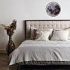 Накладной светильник Escada Planet 10226/SG LED Mars 100_100_1944152