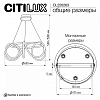 Подвесной светильник Citilux PYTHON CL220263 100_100_1694996