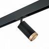 Светильник на штанге Lightstar Rullo PRO43740 100_100_2471125