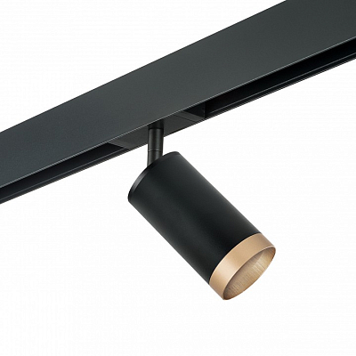 Светильник на штанге Lightstar Rullo PRO43740 400_400_2471125