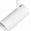 Светильник на штанге Lightstar Volta 229346 100_100_1715386