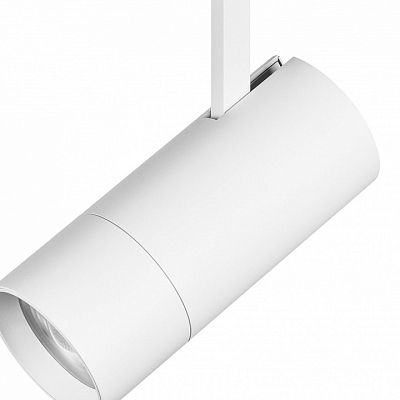 Светильник на штанге Lightstar Volta 229346 400_400_1715386