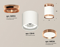 Накладной светильник Ambrella Light XS XS8141035 250_100_2012900