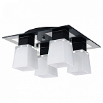 Люстра потолочная Lussole LSC-2507-04 250_100_Array
