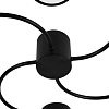 Потолочная люстра Lightstar Fico 740047 100_100_3080971