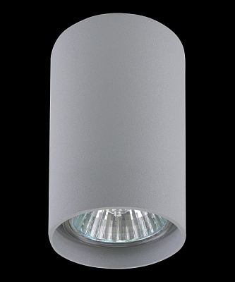 Накладной светильник Lightstar Rullo 214439 400_400_1713018