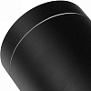 Накладной светильник Lightstar Paro 351617 100_100_1714313