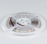 Лента светодиодная DesignLed DSG3120 00-00000153 250_100_Array