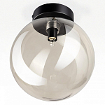 Накладной светильник Citilux ORTON CL202511 250_100_1381037