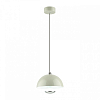 Подвесной светильник Lumion Globe 6567/6L 100_100_1864327