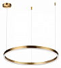 Подвесной светильник Lumion Echo 6531/50L 100_100_1863901
