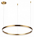 Подвесной светильник Lumion Echo 6531/50L 250_100_1863901