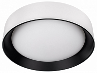 Накладной светильник Loft it Coin 10202 WB 250_100_Array