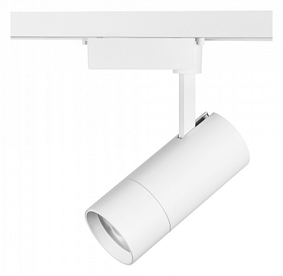 Светильник на штанге Lightstar Volta 229336 400_400_1715371