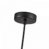 Подвесной светильник Favourite Plat 4460-1P 100_100_2379290