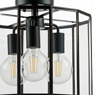 Светильник на штанге Lightstar Genni 798237 500_191_3155743