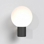 Светильник на штанге Maytoni Outdoor Bold O598WL-01B 250_100_2815977