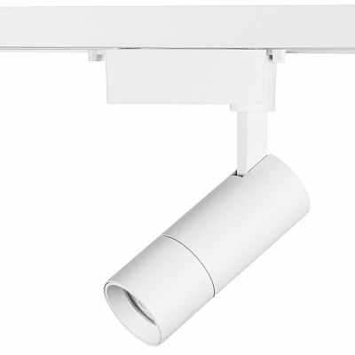 Светильник на штанге Lightstar Volta 229136 400_400_1715321