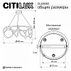 Подвесной светильник Citilux PYTHON CL220283 100_100_1695009
