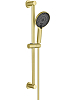 AQ2022BG ЛУГАНО душевой гарнитур 3jet 65 см, шлиф.золото 100_100_3225444