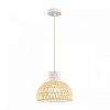 Подвесной светильник Lumion ECO 8368/1A 100_100_2833592