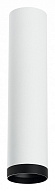 Накладной светильник Lightstar Rullo R4963437 500_191_2448418