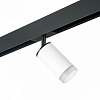 Светильник на штанге Lightstar Rullo PRO43630 100_100_2471109