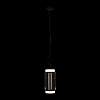 Подвесной светильник Loft it Noctambule 10194/S 100_100_1848466