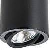 Накладной светильник Lightstar Rullo 214407 100_100_1715521