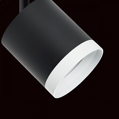 Светильник на штанге Lightstar Rullo R1T34873486 400_400_1717962
