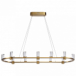 Подвесная люстра Odeon Light HIGHTECH 7144/65L 250_100_Array