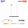 Подвесной светильник LIGHTERA James LE107L-100B WIFI 100_100_2049442