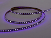 Лента светодиодная LEDS POWER STANDART 004761 100_100_2200216