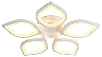 Накладной светильник Ambrella Light FA FA444 500_191_2441905