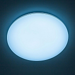 Накладной светильник Citilux Симпла CL714900G 250_100_3148100