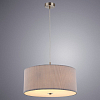 Подвесной светильник Arte Lamp Mallorca A1021SP-5SS 100_100_1822249